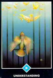 osho tarot w-p-understanding