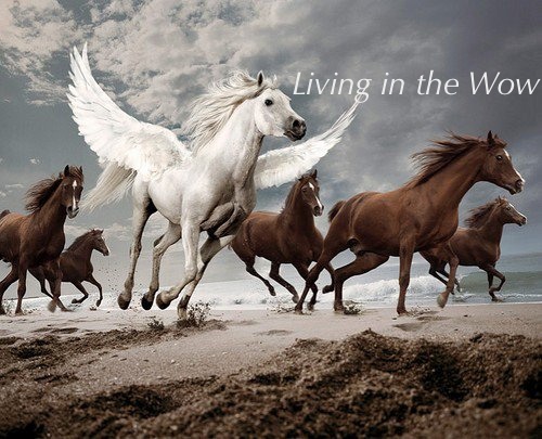 pegasus and horses living in the wow