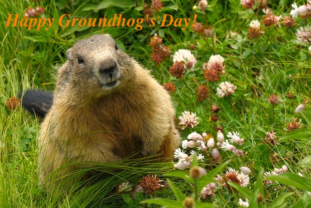 Groundhog_with quote