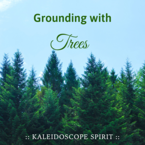 Illuminations ~ Visualizations for Sacred Renewal – Grounding with Trees